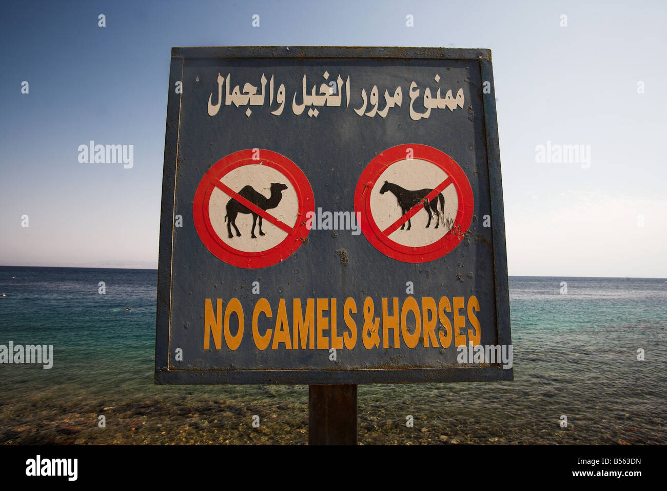 No camels and horses sign on Masbat seafront in Asilah,  Dahab by the Gulf of Aqaba, South Sinai Peninsula, Egypt. Stock Photo