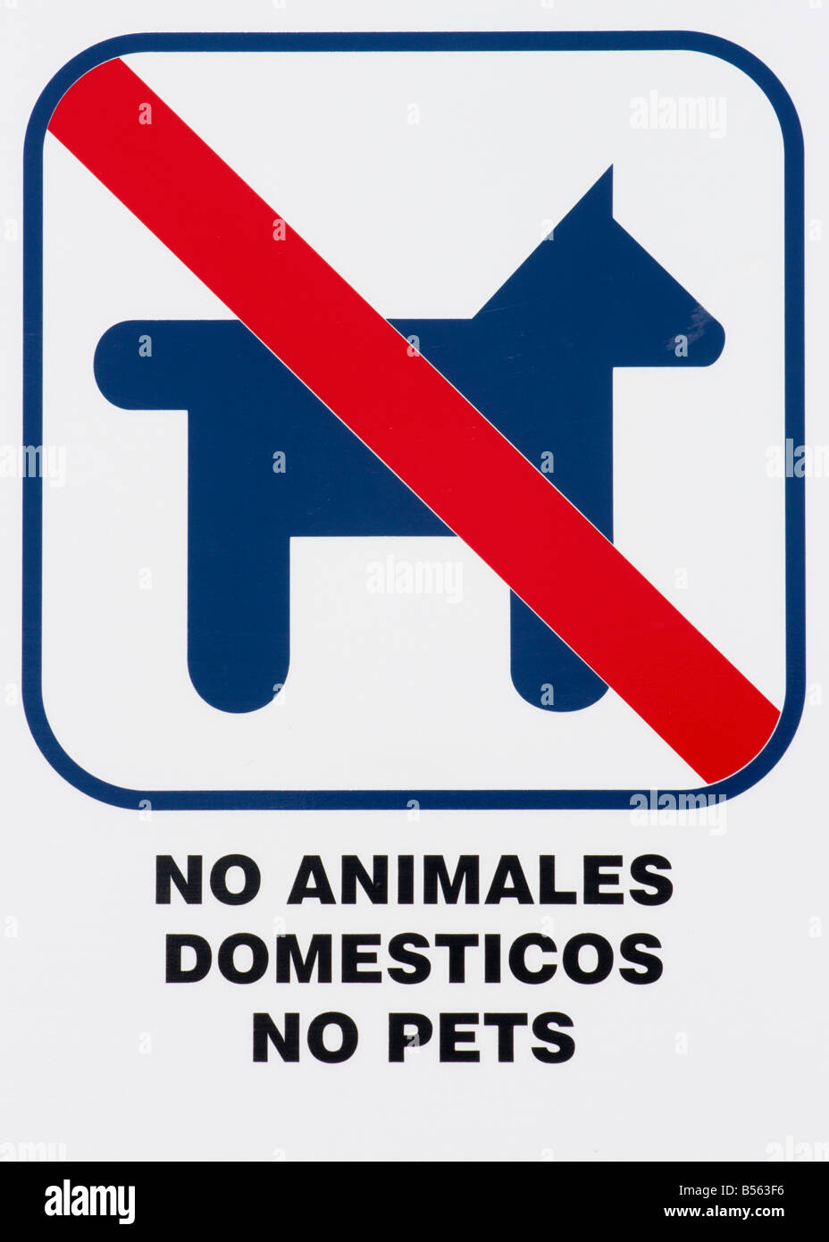 No pets sign in Spanish and English Stock Photo