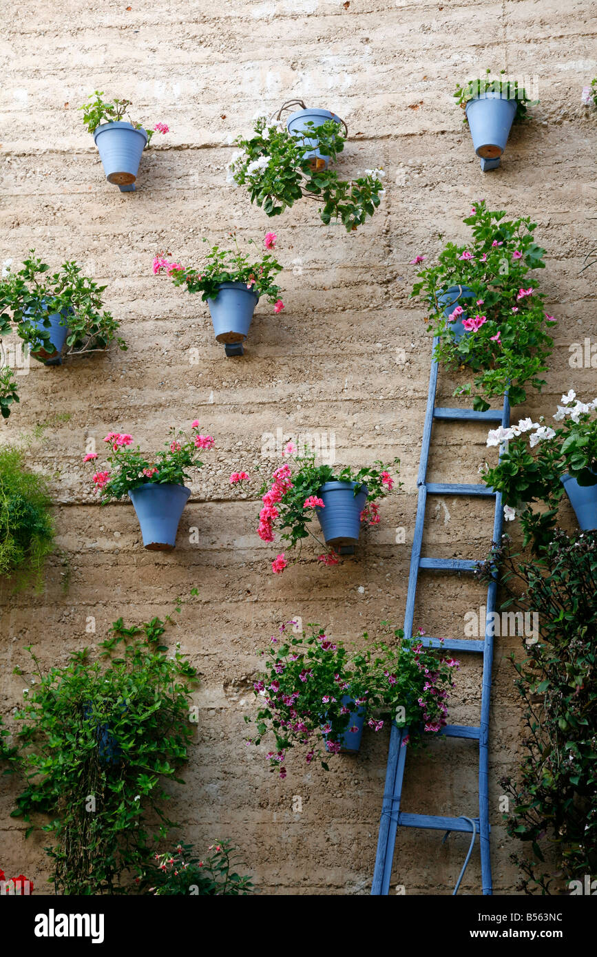 Wall of bright blue pots in a Spanish garden Stock Photo - Alamy