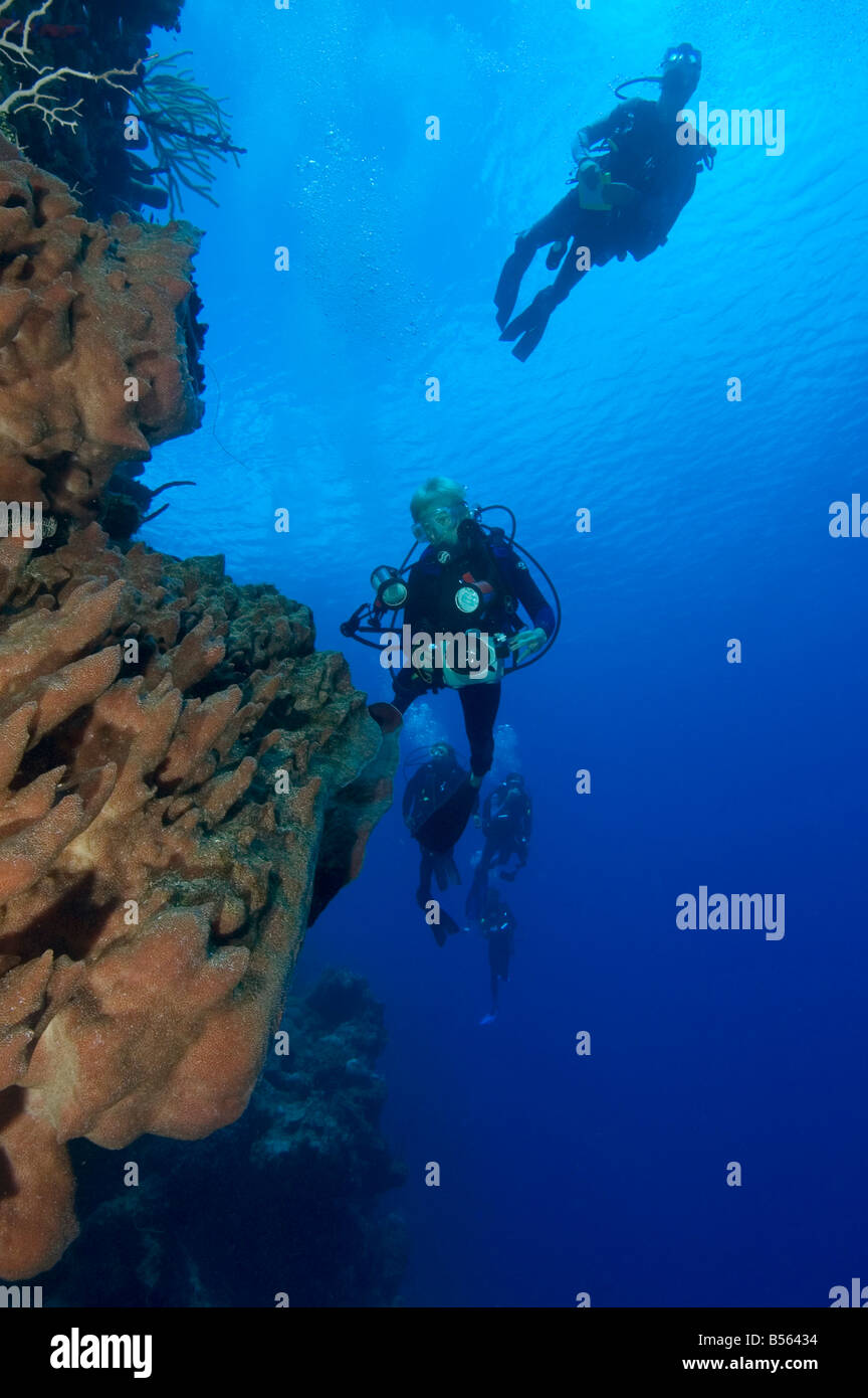 Sponge divers island hires stock photography and images Alamy