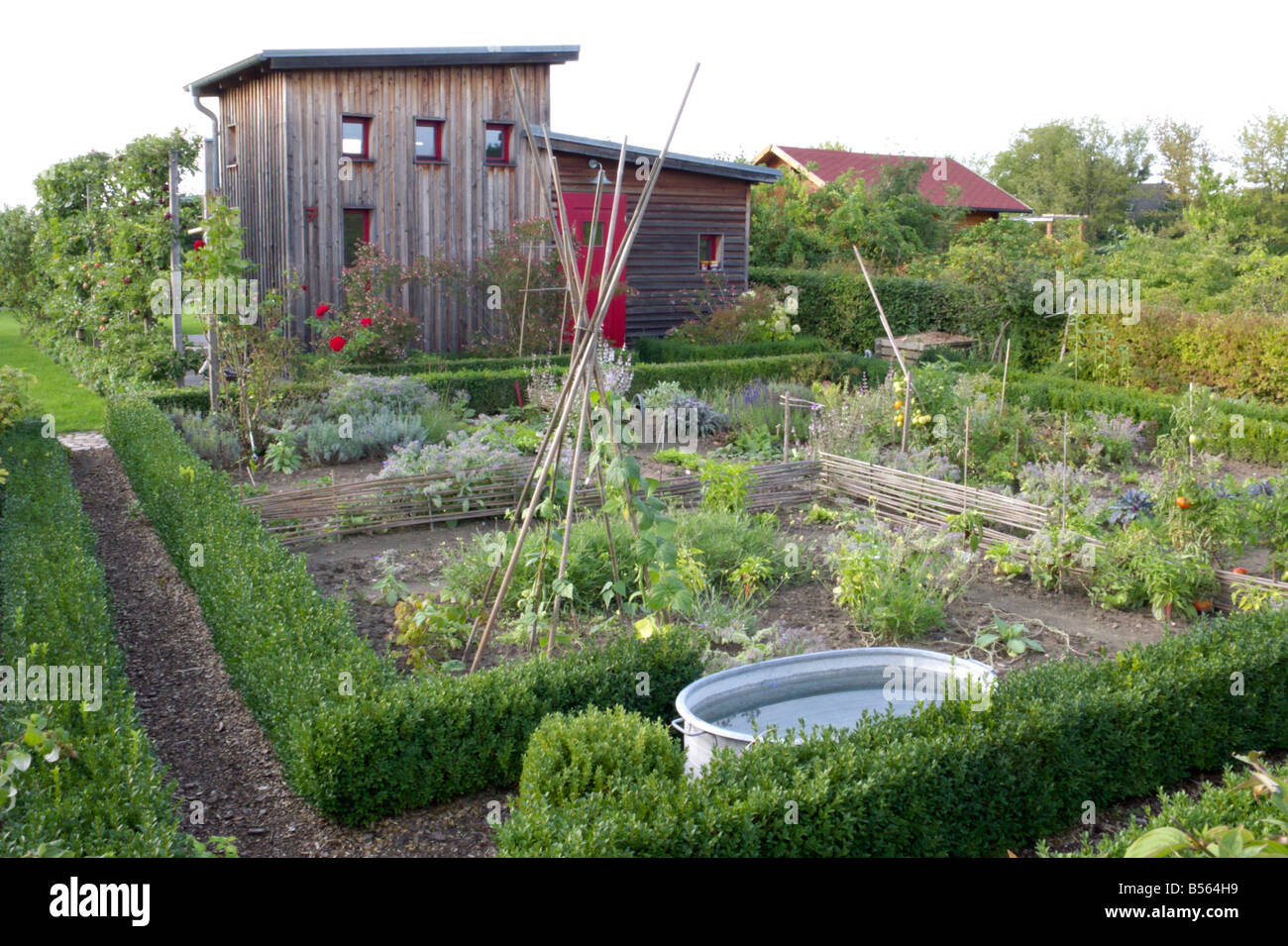 Vegetable garden with box hedges Stock Photo
