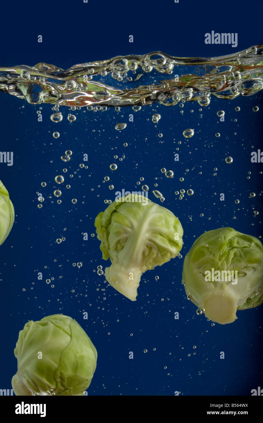 Brussel Sprouts under water during washing with bubbles close up Stock