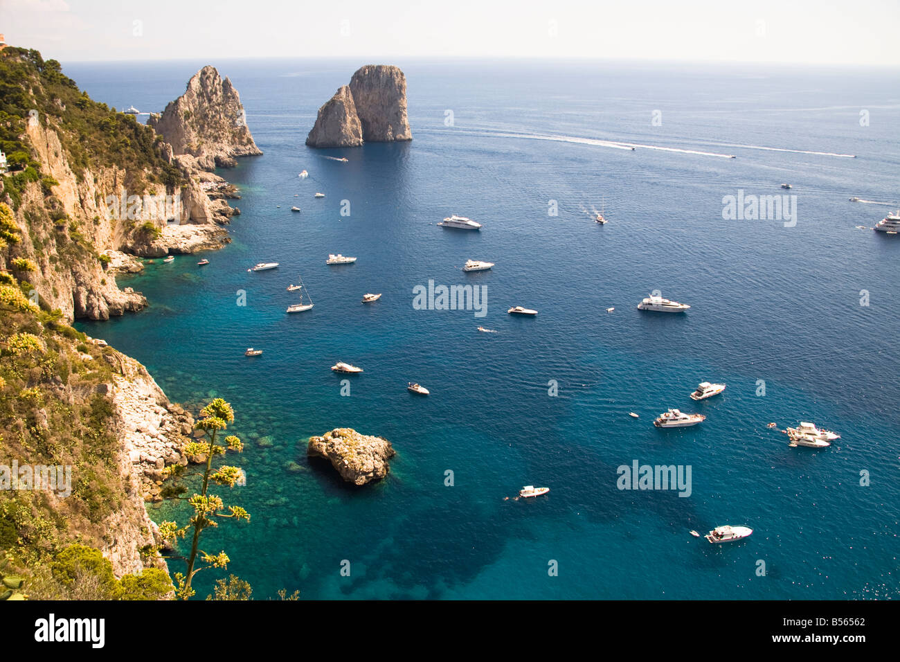 Faraglio Rocks Faraglioni rocks and coastline, Capri, Italy Stock Photo - Alamy