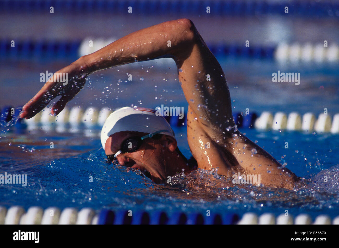 Male swimmer competing in a freestyle event Stock Photo - Alamy