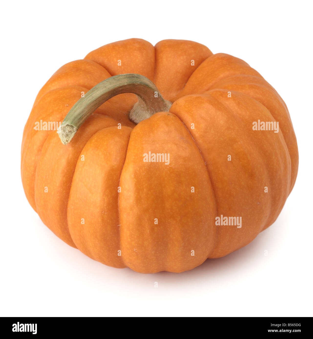 Orange halloween pumpkin on Cut Out Stock Images & Pictures - Alamy