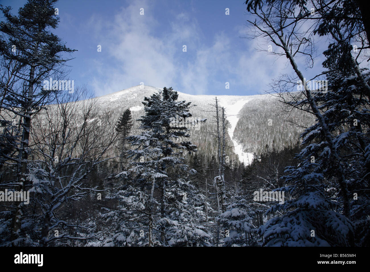 Mount Hancock from Hancock Loop Trail in the White Mountains New