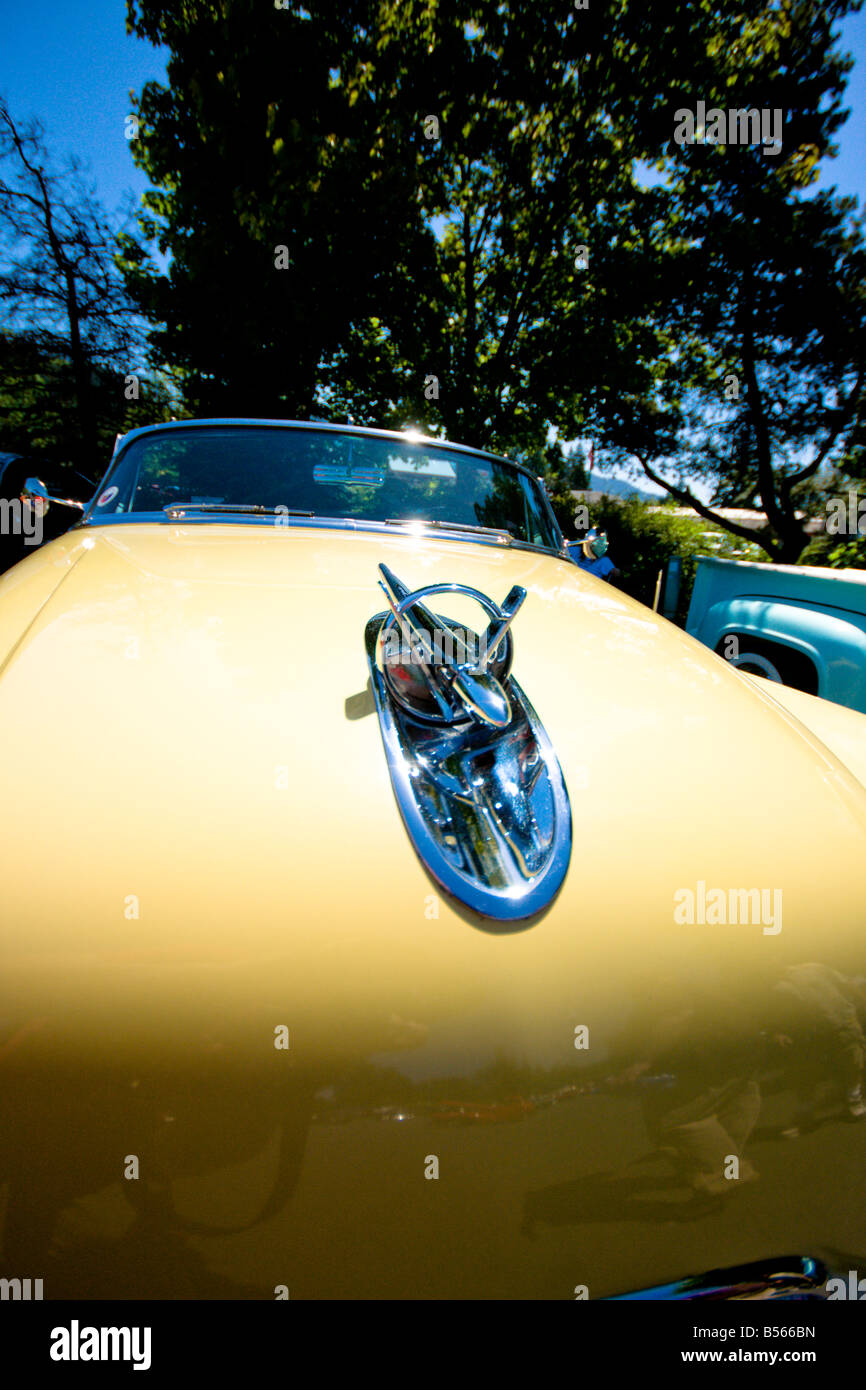 Classic car hood ornament hi-res stock photography and images - Alamy