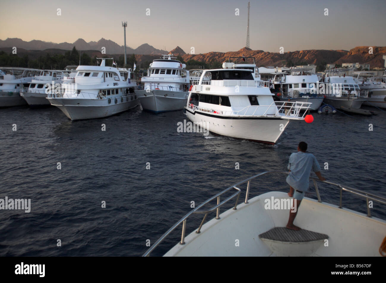 Dive boats mooring at the harbour in Sharm El Sheik, in Egypt, north Africa. Stock Photo