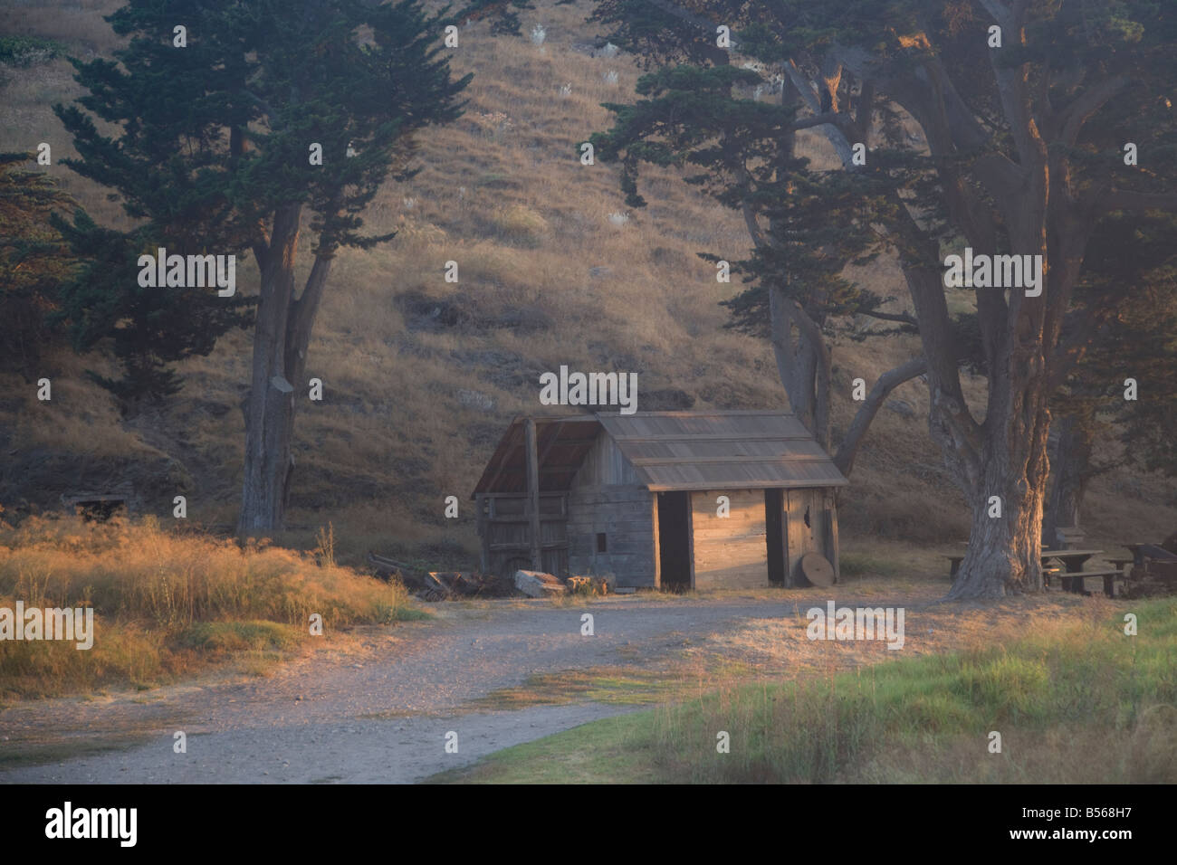 Shack In Morning Light Near Scorpion Bay Campsite On Santa Cruz