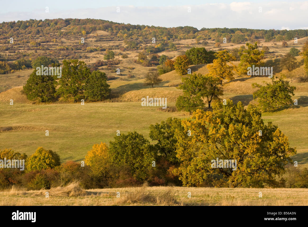 Pastoral countryside near Bunest in saxon villages area Transylvania Romania Stock Photo