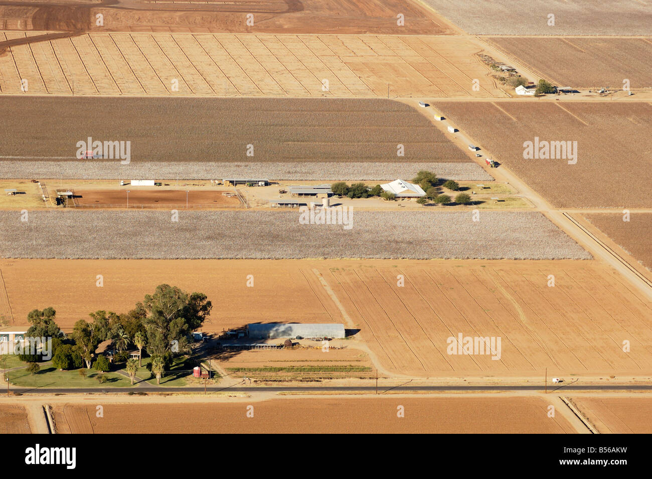 aerial view of a cotton farm in Arizona Irrigated cotton fields Stock