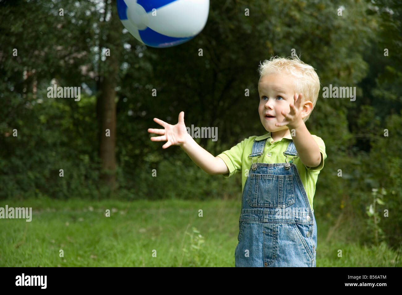 catch the ball