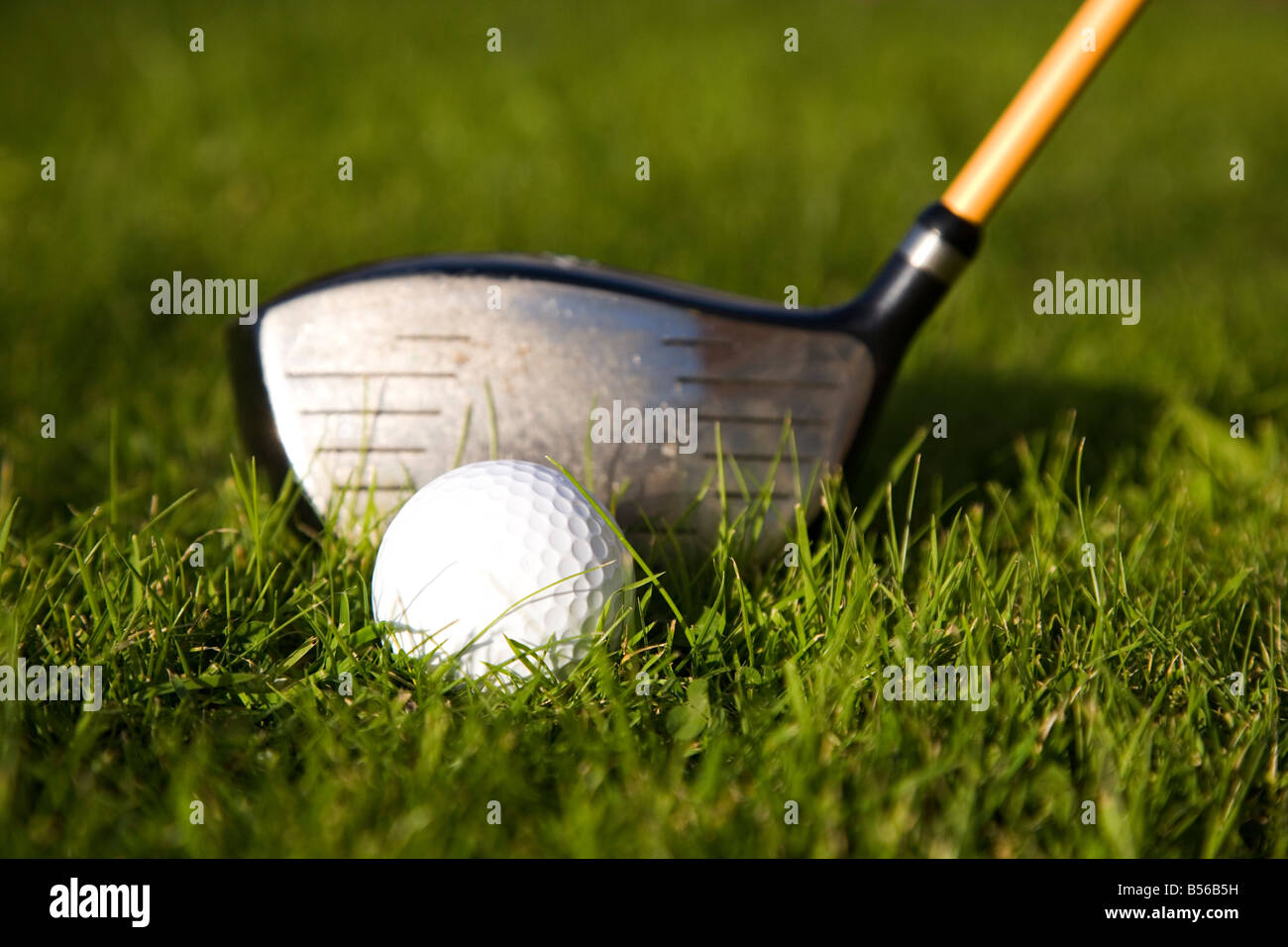 A dimpled golf ball sits on grass. An driver head can be seen behind