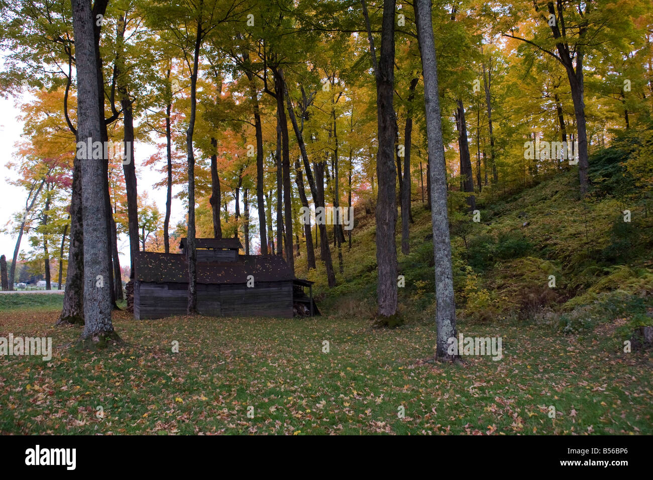 New england fall leaves hi-res stock photography and images - Alamy