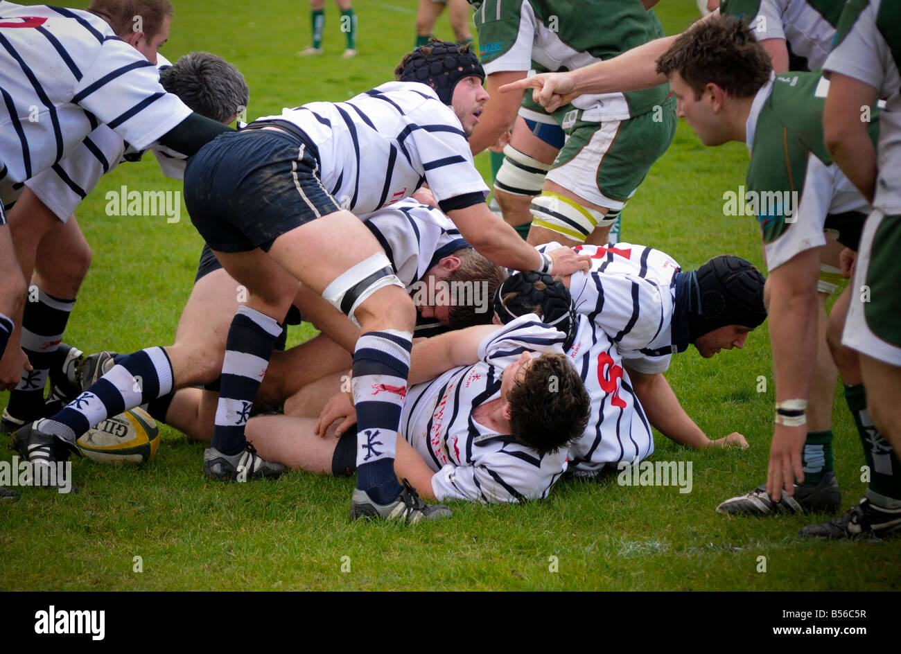 A National Trophy rugby union game between Beverley RUFC and Preston Grasshoppers Stock Photo
