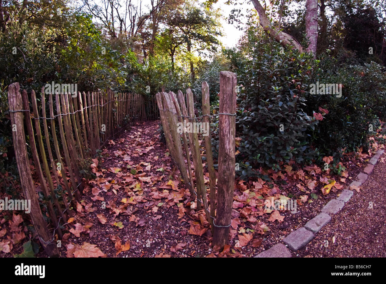 Overhanging garden fence hi-res stock photography and images - Alamy