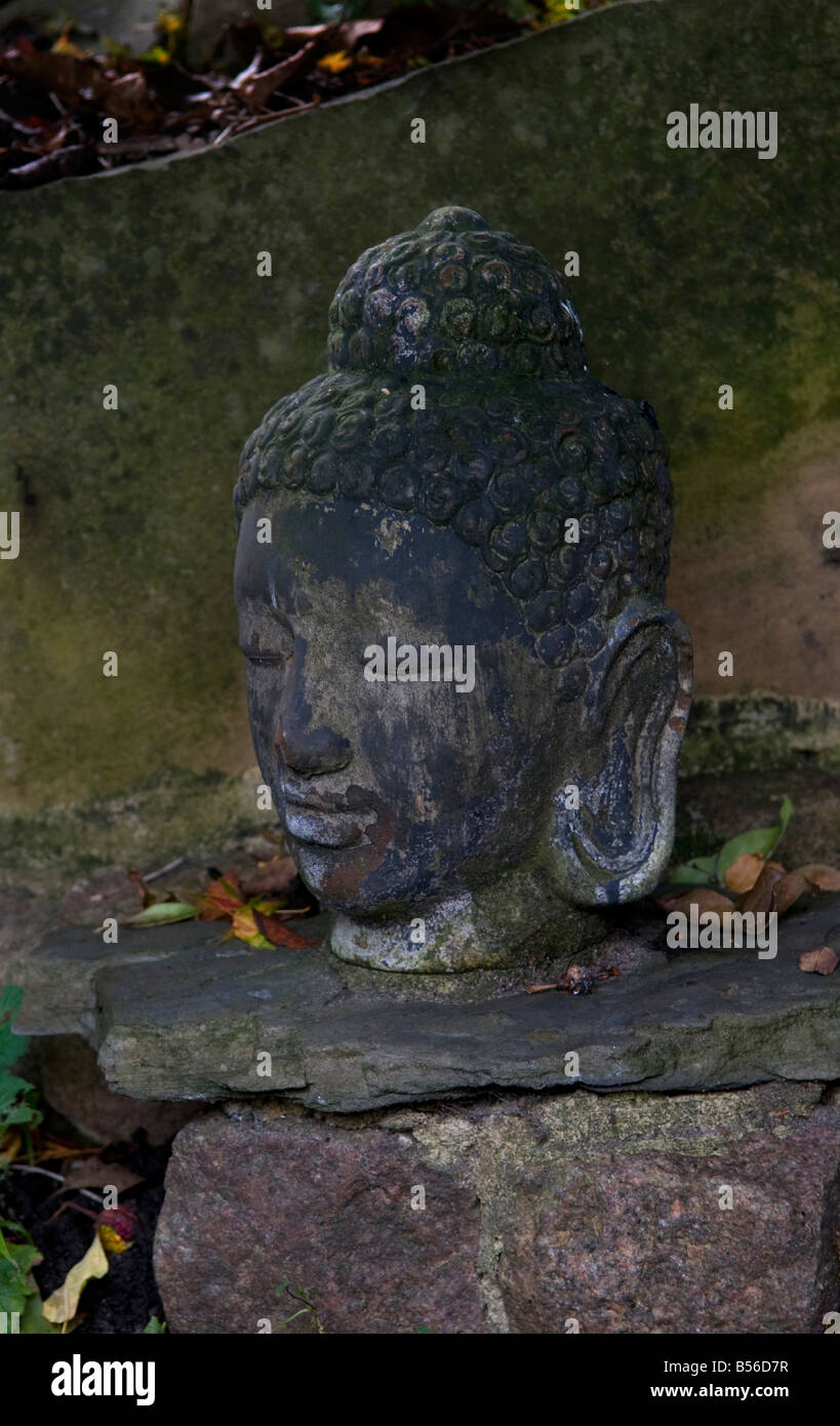 Buddah head in Garden Stock Photo