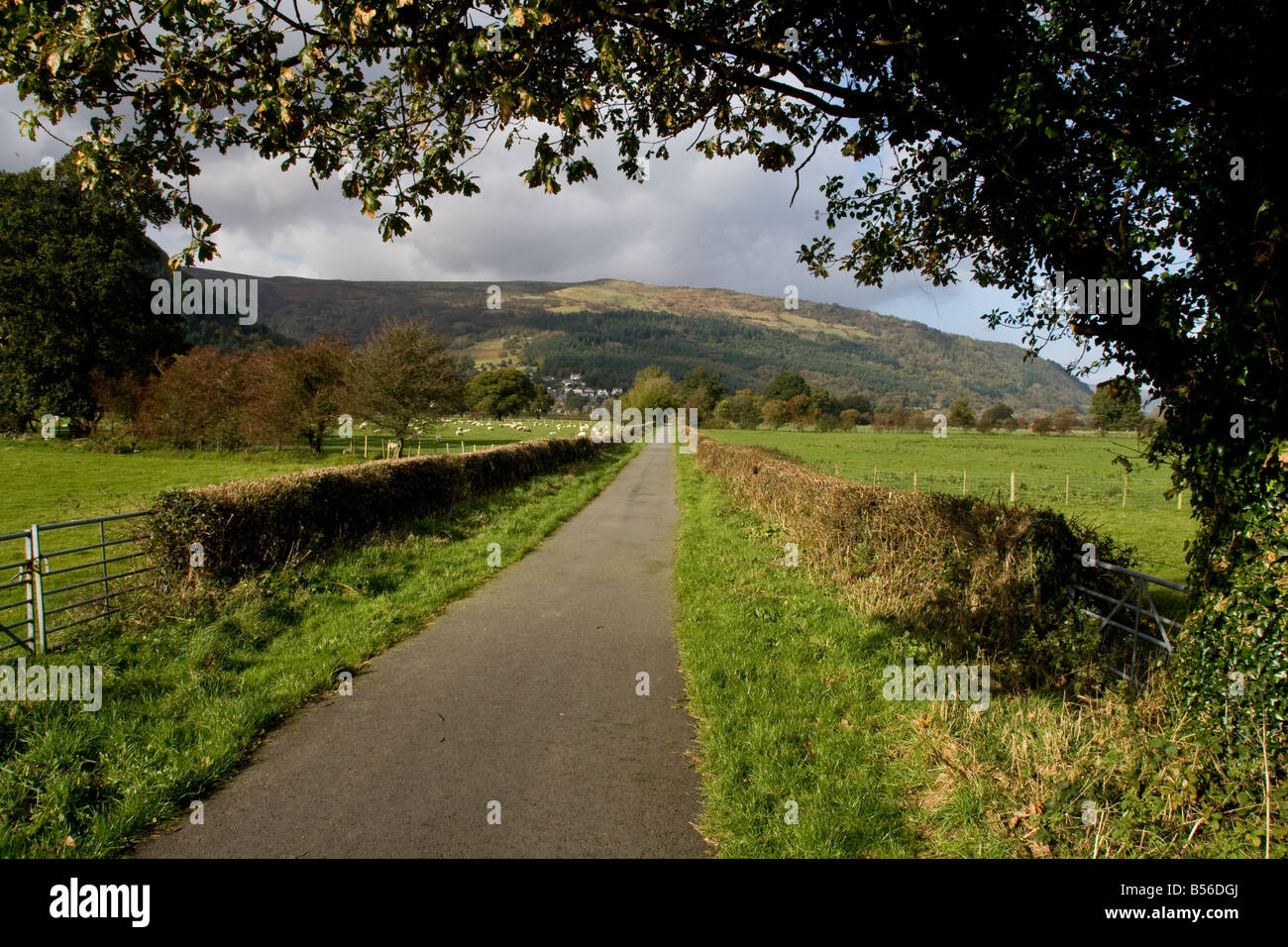 Gower Road towards the village of Trefriw, Conwy, Wales Stock Photo Alamy