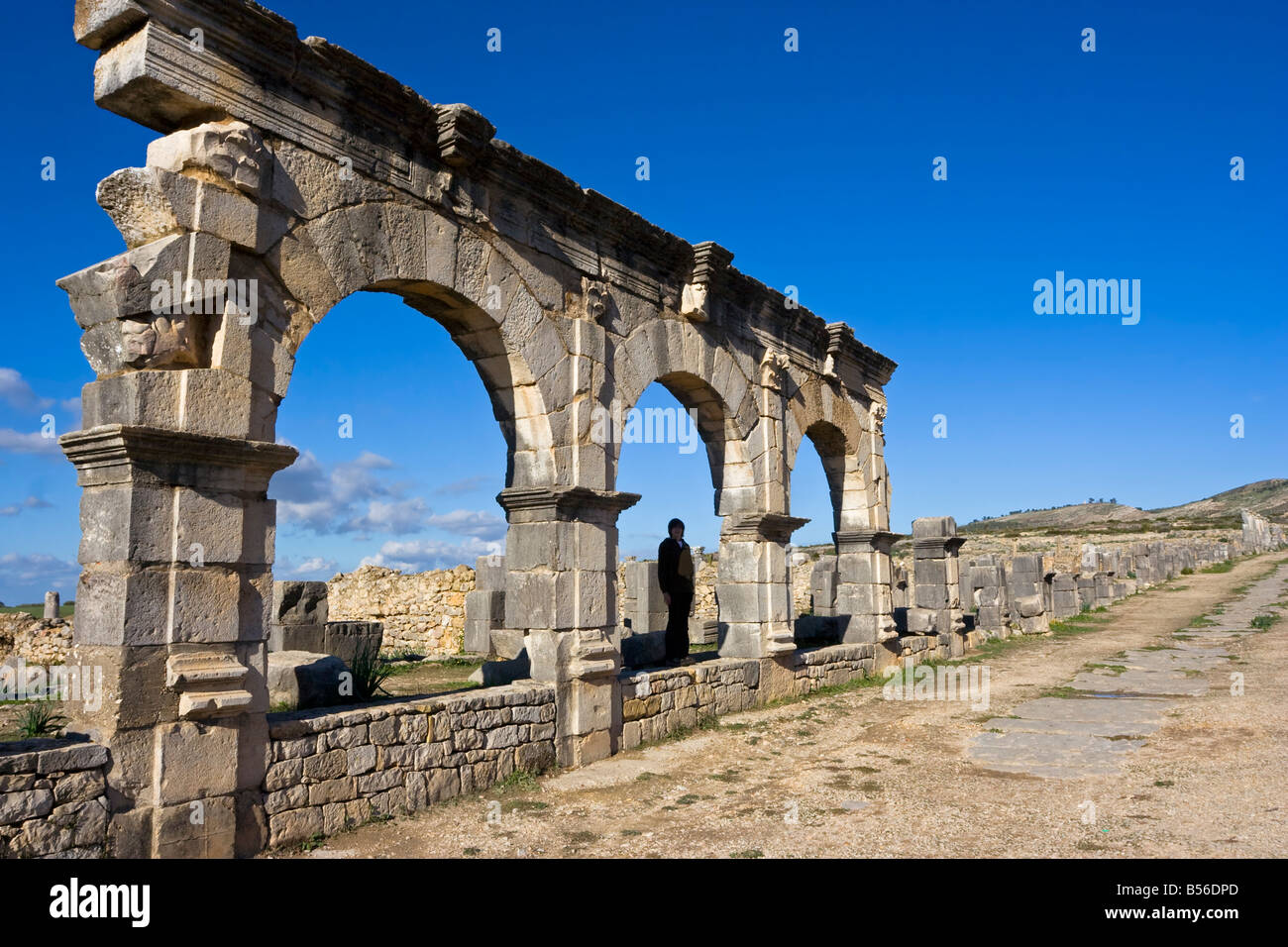 Galatea statue hi res stock photography and images Alamy