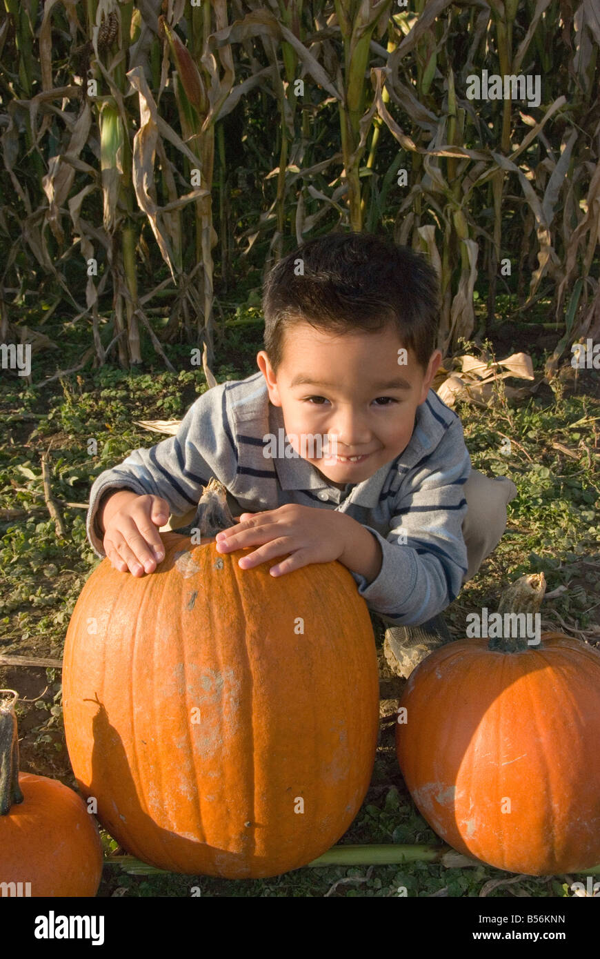 A boy proudly poses with his pumpkin Stock Photo - Alamy