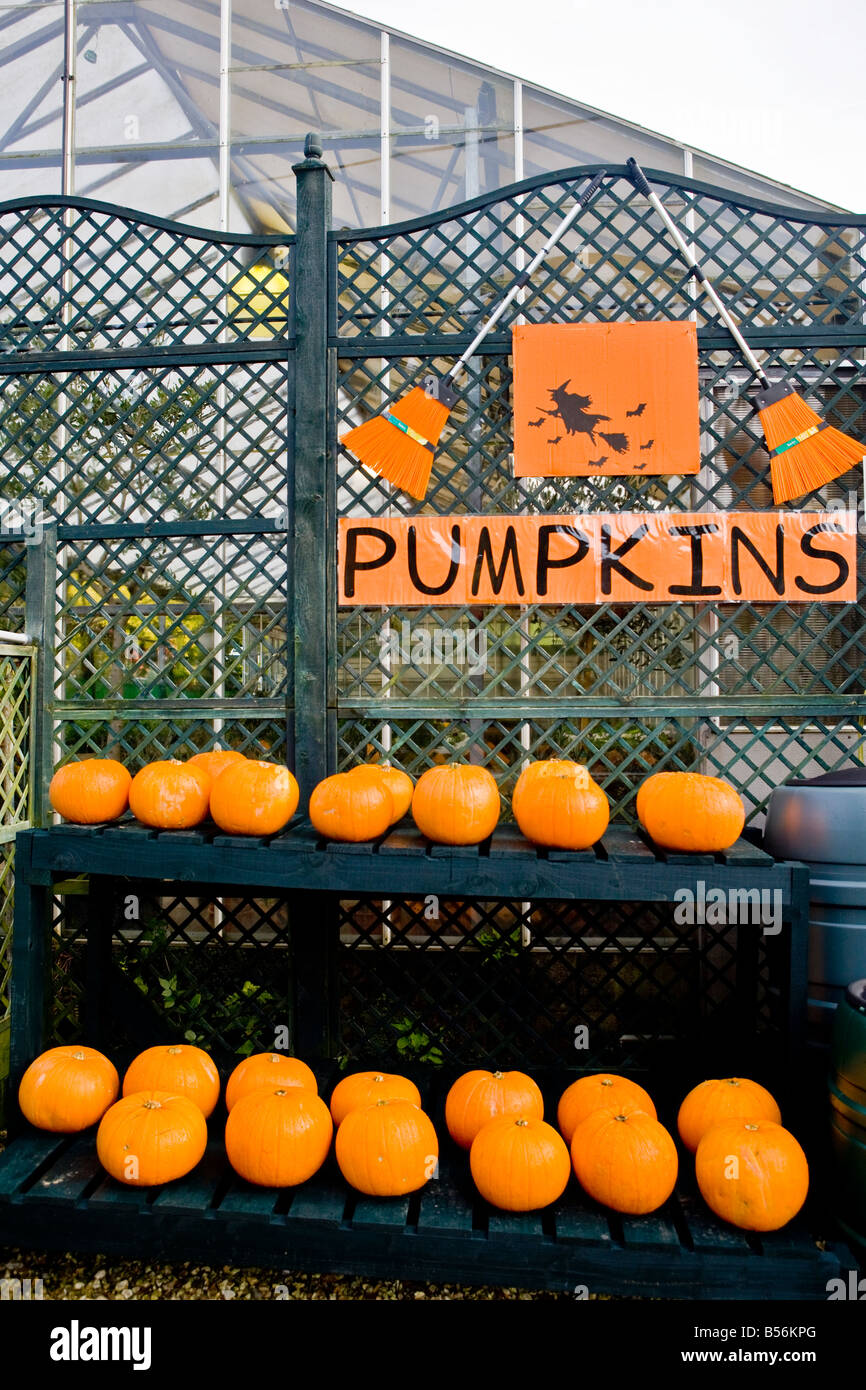 Batsford arboretum garden centre pumpkin display Stock Photo