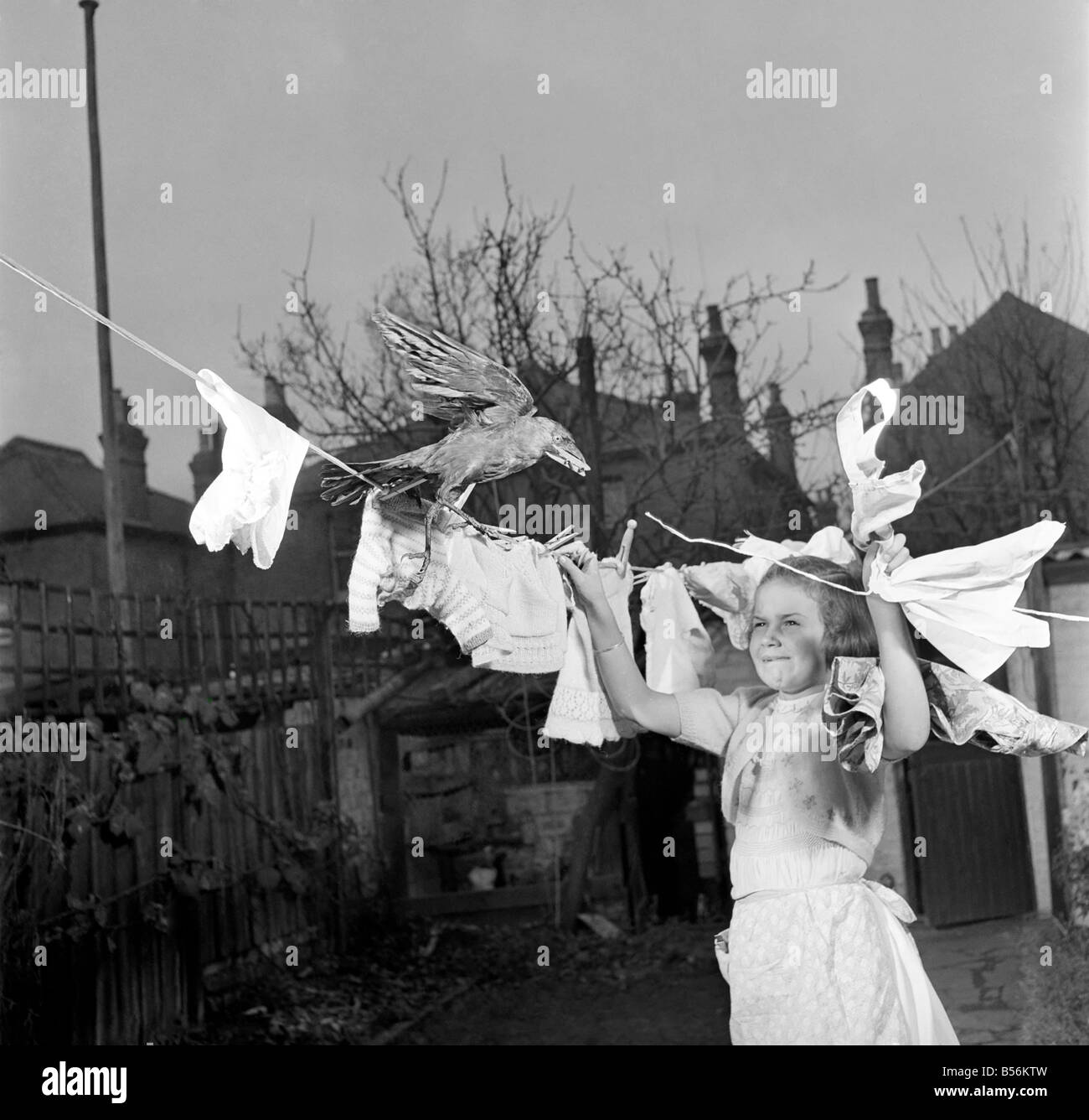 Scanties Black and White Stock Photos & Images Alamy