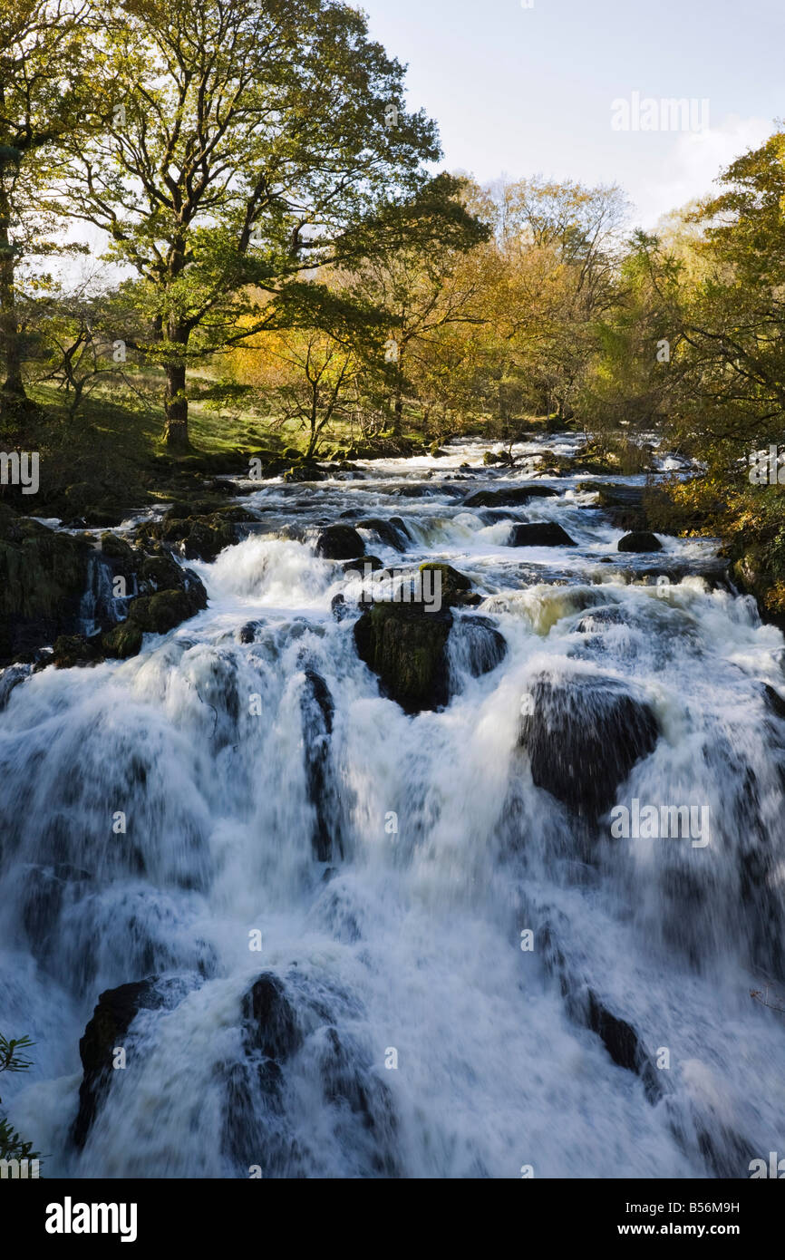 "Swallow Falls" in full spate on Afon Llugwy river in Snowdonia National Park near Betws-y-Coed Conwy North Wales UK. Stock Photo