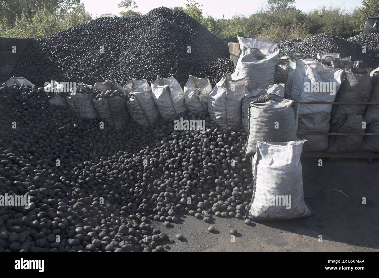 Piles of coal in a coal merchants yard Rackhams Wickham Market Suffolk