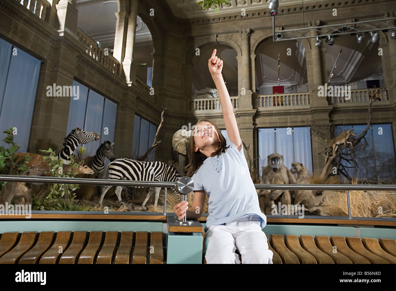 Girl in a museum with stuffed animals Stock Photo