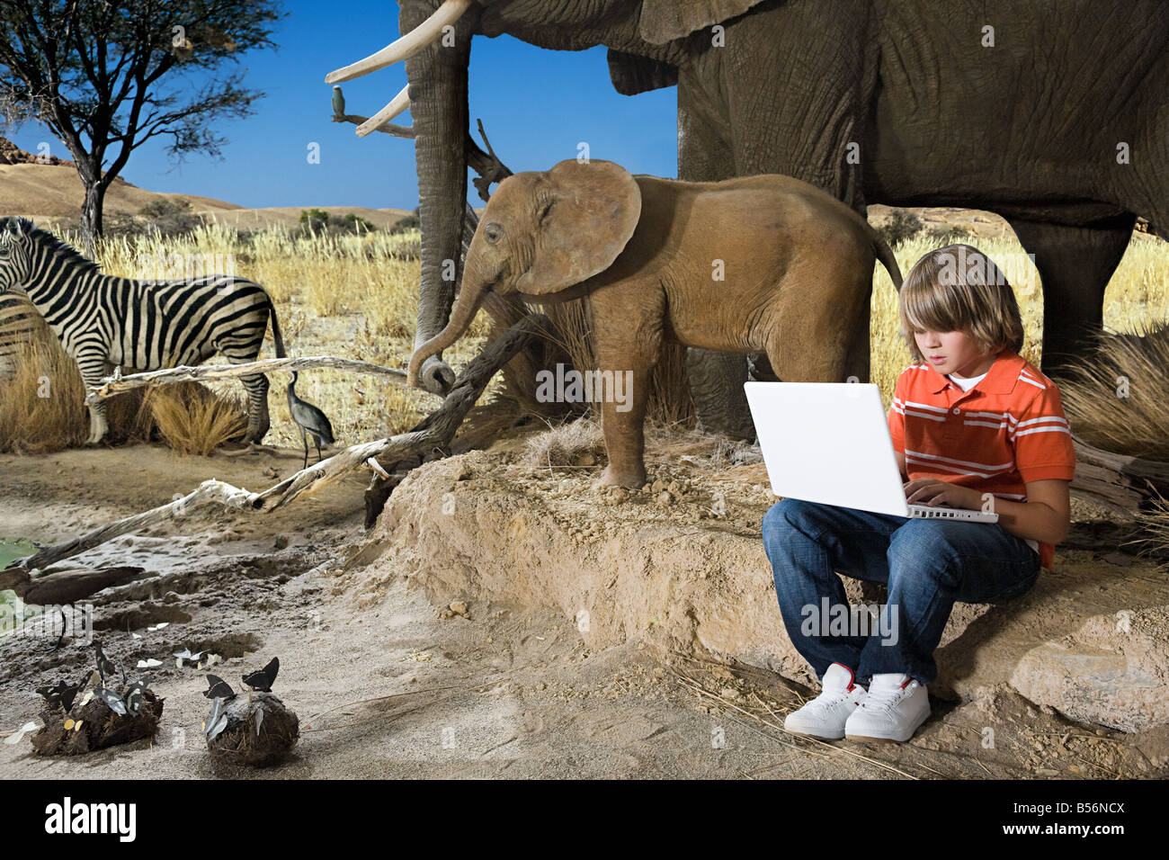 Boy using a laptop in a museum Stock Photo