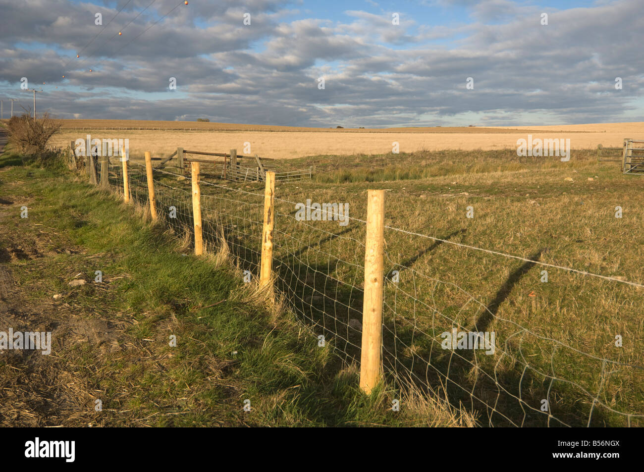 Isle of sheppey kent hi-res stock photography and images - Alamy