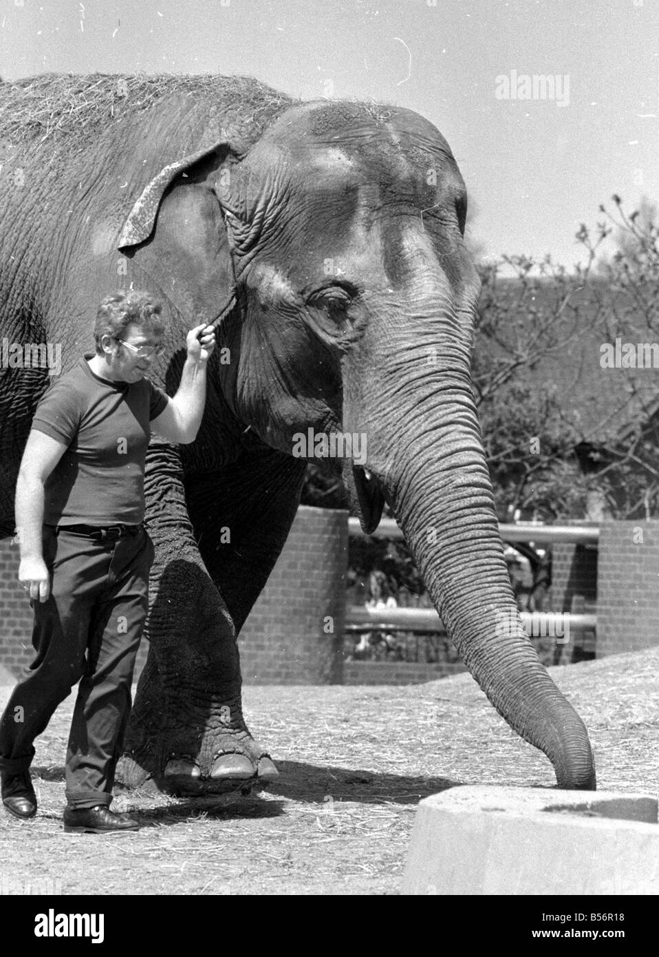Elephant house london zoo hi-res stock photography and images - Alamy