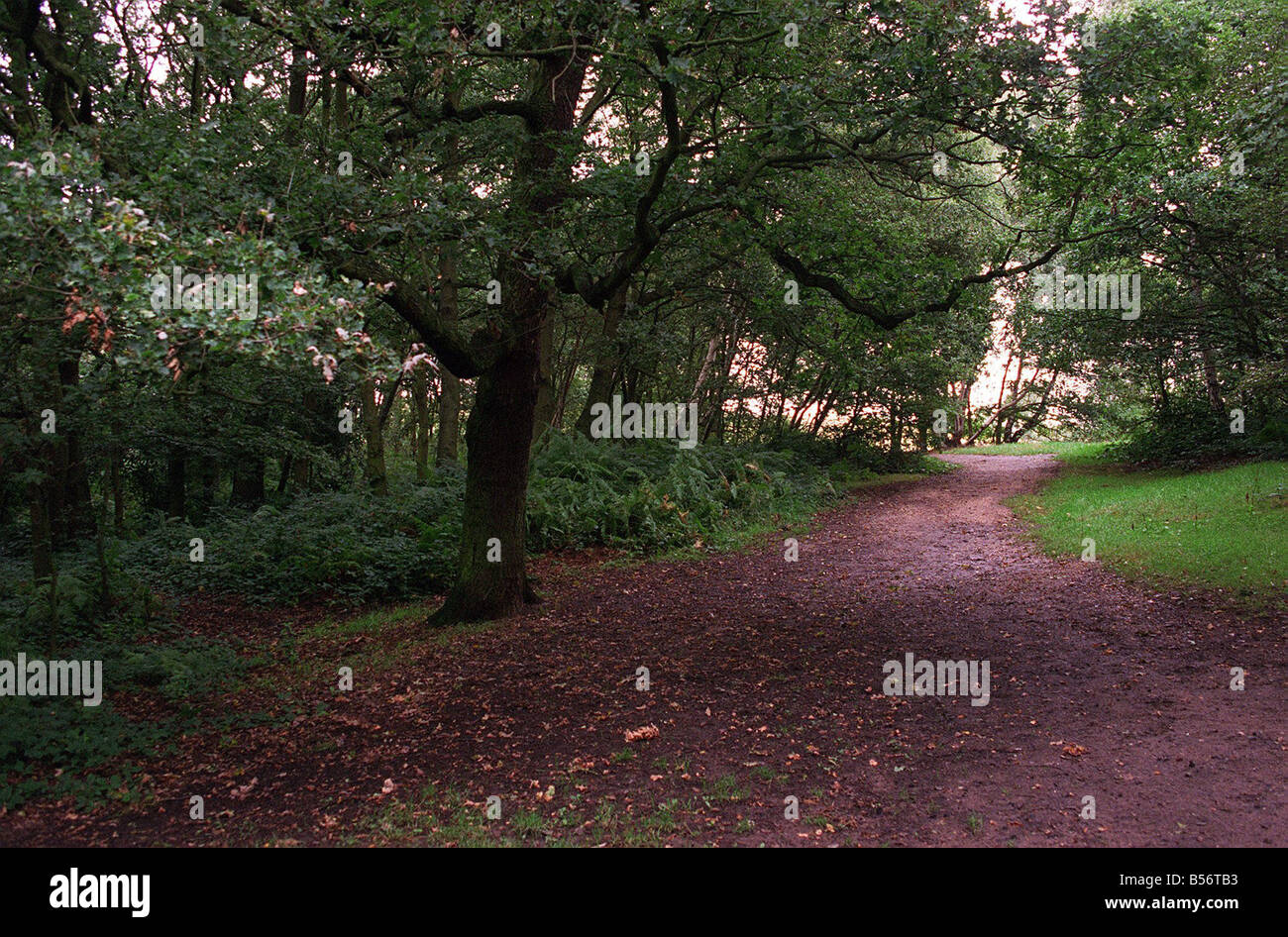 Rachel Nickell Murder Scene On Wimbledon Common In Sep 94 Stock Photo 