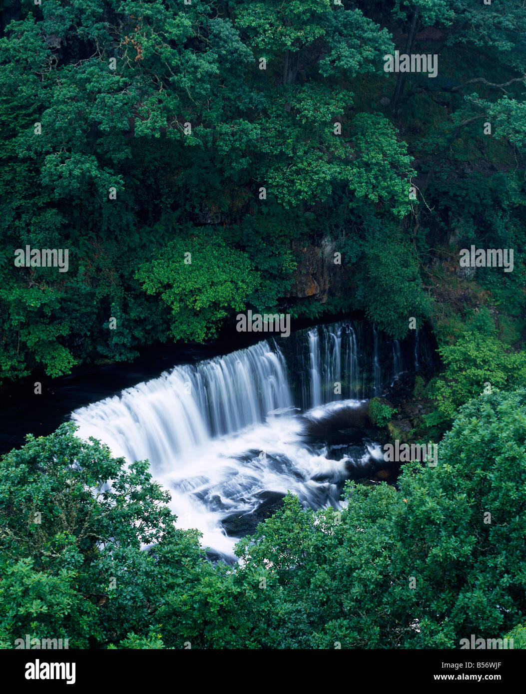 Sgwd Isaf Clun-gwyn waterfall on the River Mellte near Pontneddfechan in the Brecon Beacons National Park, South Wales. Stock Photo