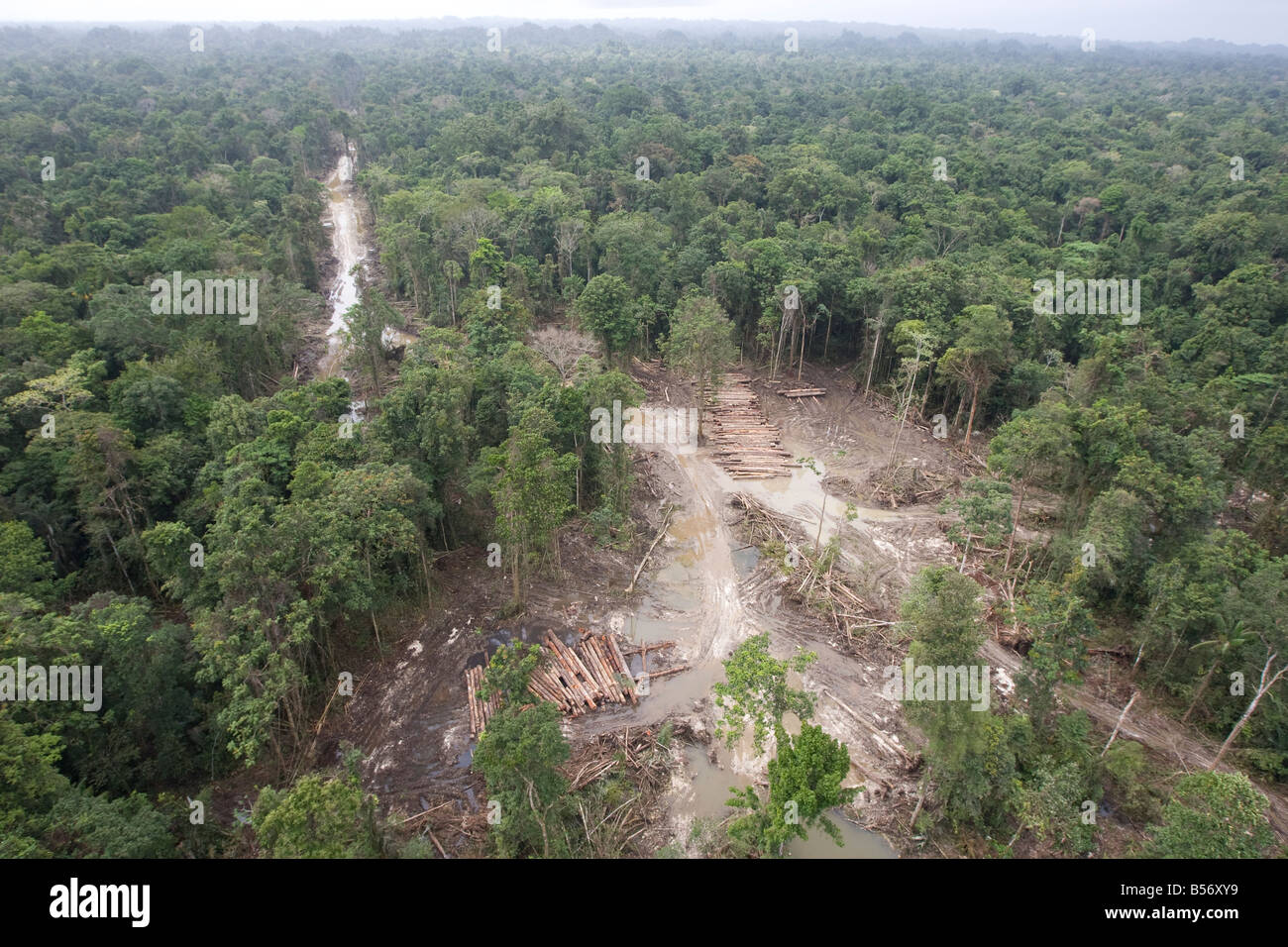 Logging In Png Rainforests hi-res stock photography and images - Alamy