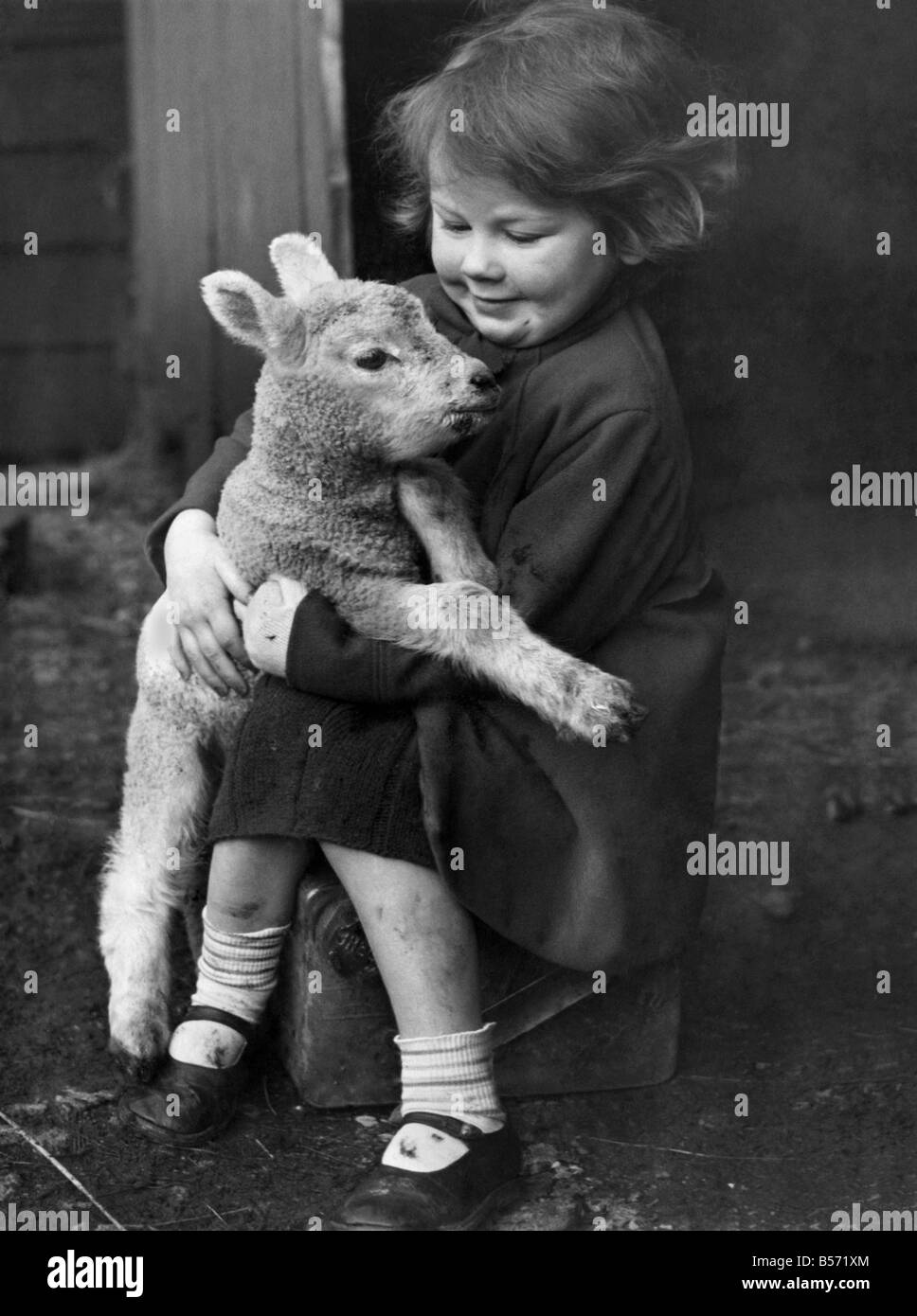 A young girl holding a little lamb in her arms at a farm. March 1946 ...