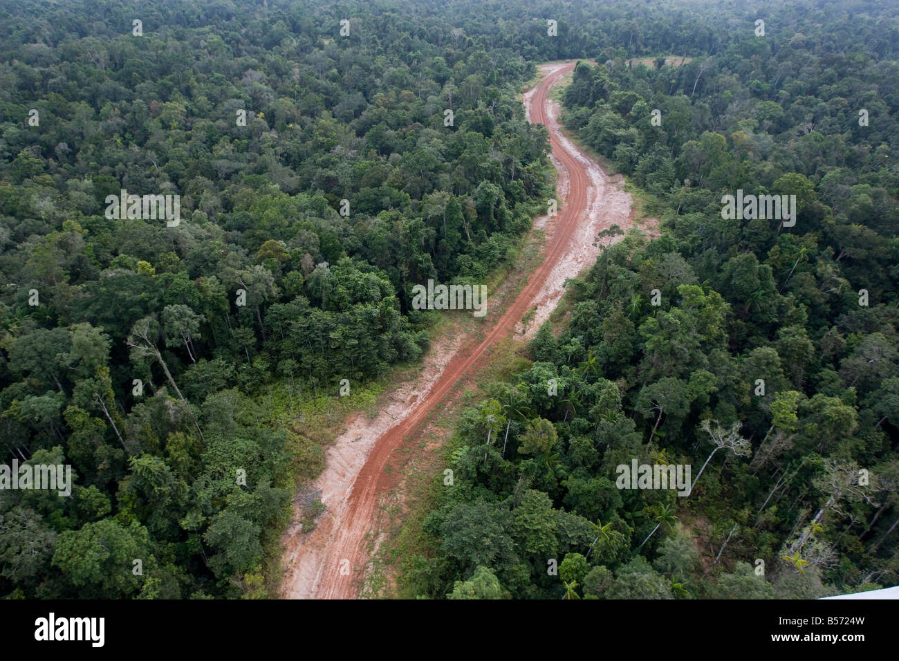 Wawoi Guavi logging concession, Western Province, Papua New Guinea, Wednesday 10th September 2008 Stock Photo
