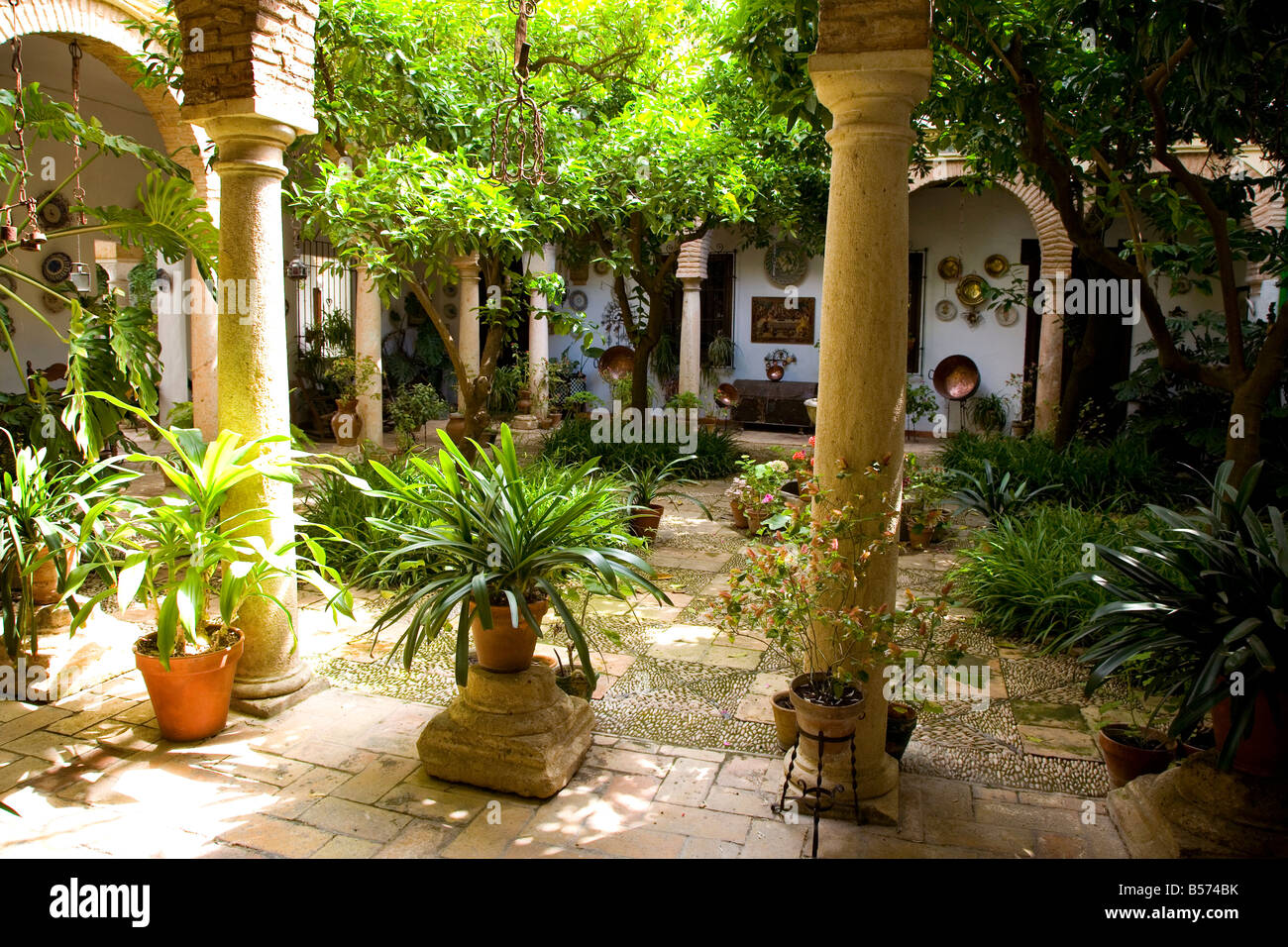 Festival of patios Cordoba Andalucia Spain. El Concurso de los patios