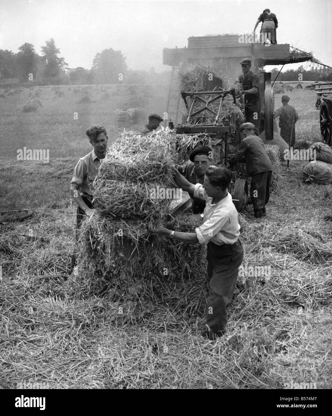 Our Daily Bread Their Daily Care. Once farm-work was spurned by the young boys who left school, and they went to the towns for work that paid more. Now they are coming back to the fields to help fill the nation's larder. John Clarke, Reginald Parson and Ronald cross toil on an Essex farm stacking the straw bales after the thrashing that provided next year's food. Tomorrow their minds will be on a new harvest. August 1947 P004515 Stock Photo