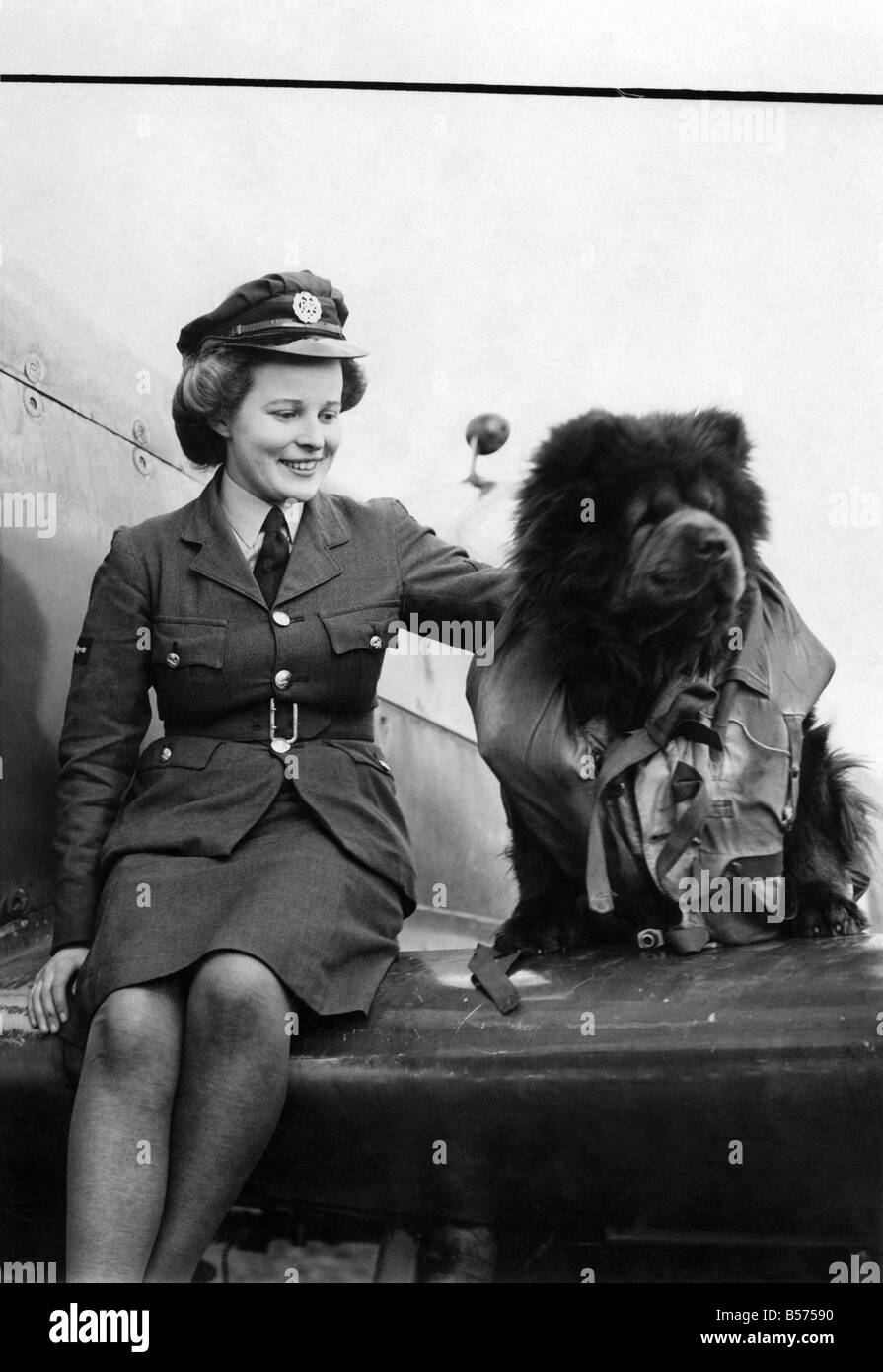 World war ii women w a a f hi-res stock photography and images - Alamy