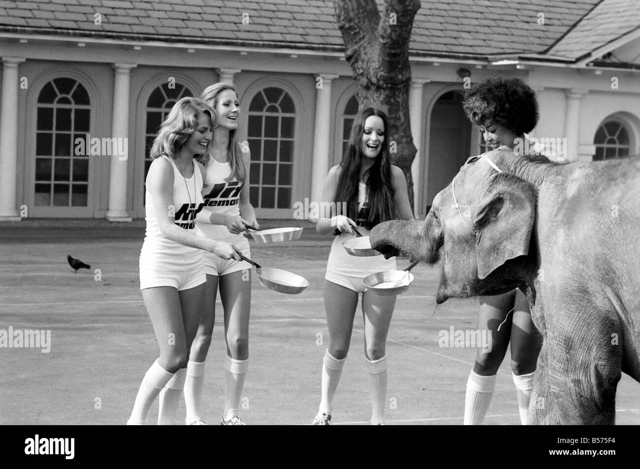 Strange Tales Of London Beauty Queens Who Will Be In The Pancake Race On Tuesday And Baby Elephant Minoti She Is Five But Strange Tales Of London Beauty Queens Who Will Be In The Pancake Race On Tuesday And Baby Elephant Minoti She Is Five But