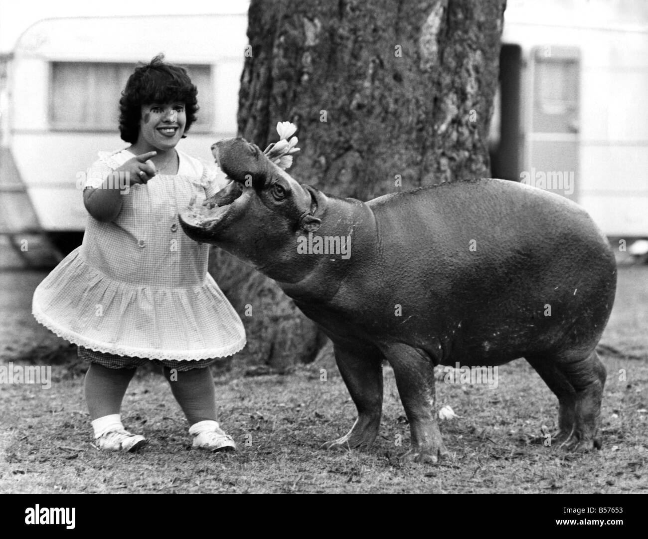 Where have all the flowers gone?, asks 23 yrs old Linda Ferry, a midget clown working with Gandy's travelling circus, as she peers into the open jaws of April, the four year old pygmy hippopotamus who is a star performer with the circus. March 1985 P004876 Stock Photo