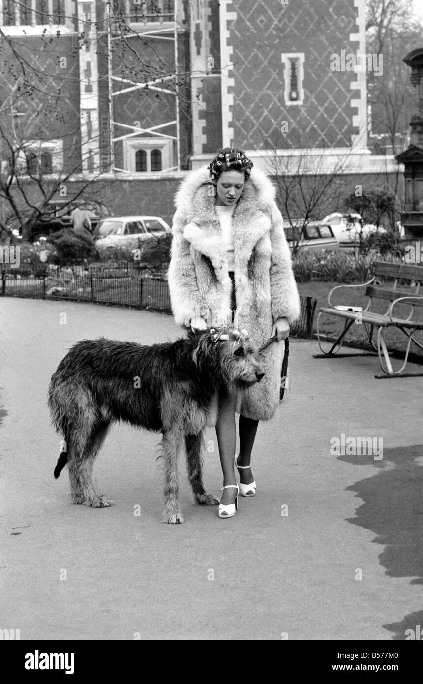 Girl and Dog in Curlers. Model Victoria Burgyne and Irish Wolf Hound 'Jasper'. February 1975 75-00884-005 Stock Photo