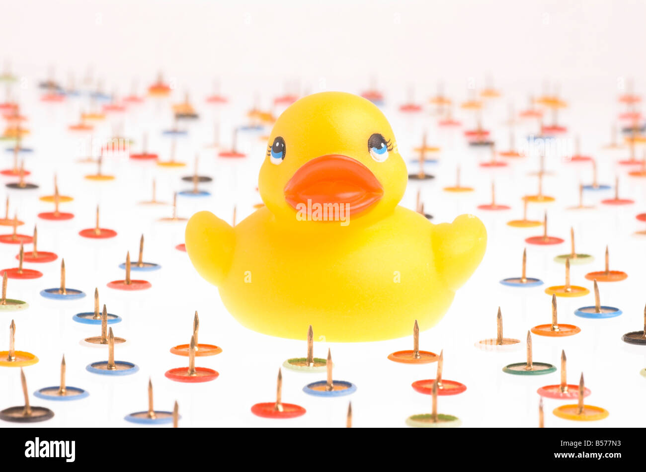 A rubber duck surrounded by thumb tacks Stock Photo
