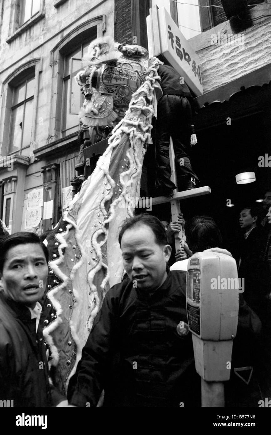 chinese new year 1975 year of