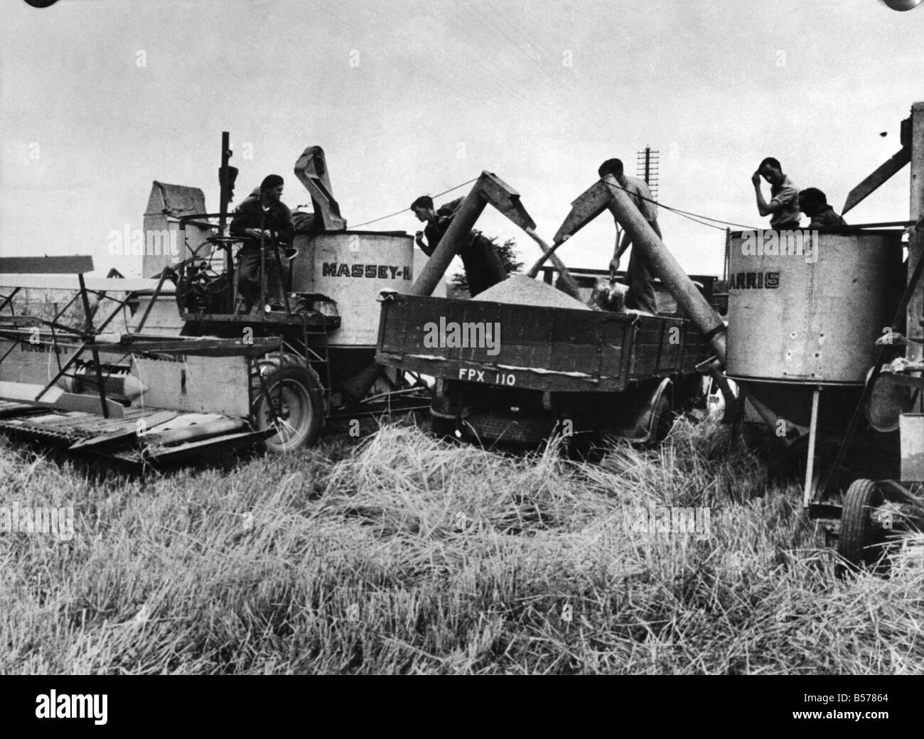 Massey Harris Combine harvesters at work near Basingstoke Circa 1950