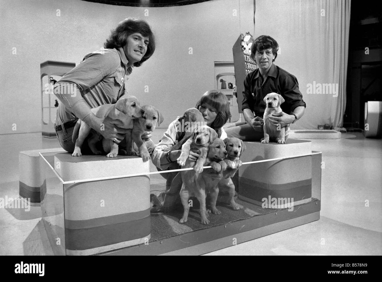 Blue Peter appeal for blind smashes through target. Lesley Judd. 'Blue Peter' and Puppies. January 1975 75-00022-005 Stock Photo