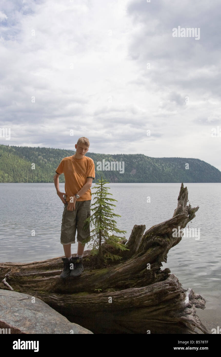 Teenage boy standing on driftwood next to a lonely fir tree Wells Gray Provincial Park British Columbia Canada Stock Photo