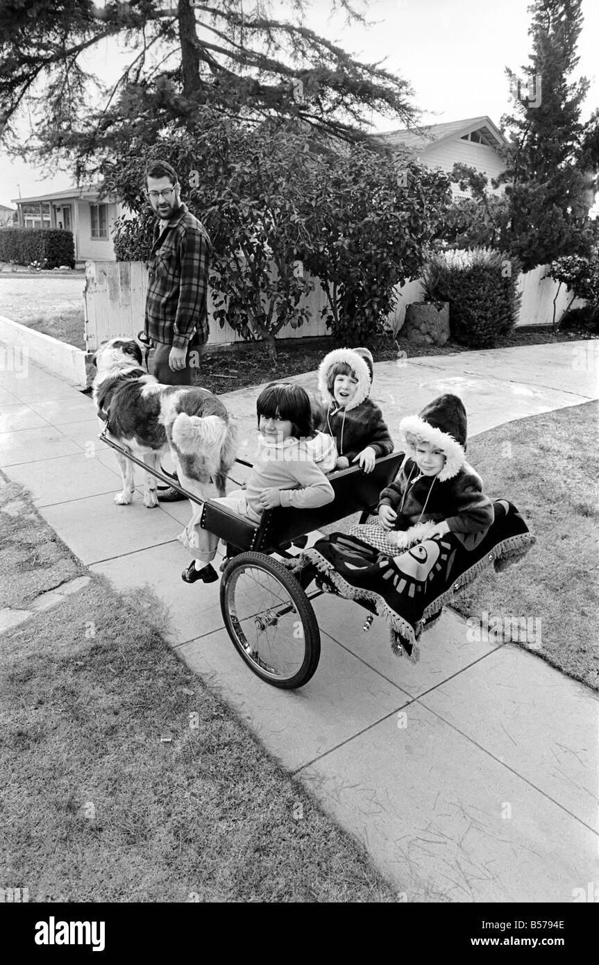St. Bernards dog cart. January 1975 7500282 Stock Photo Alamy