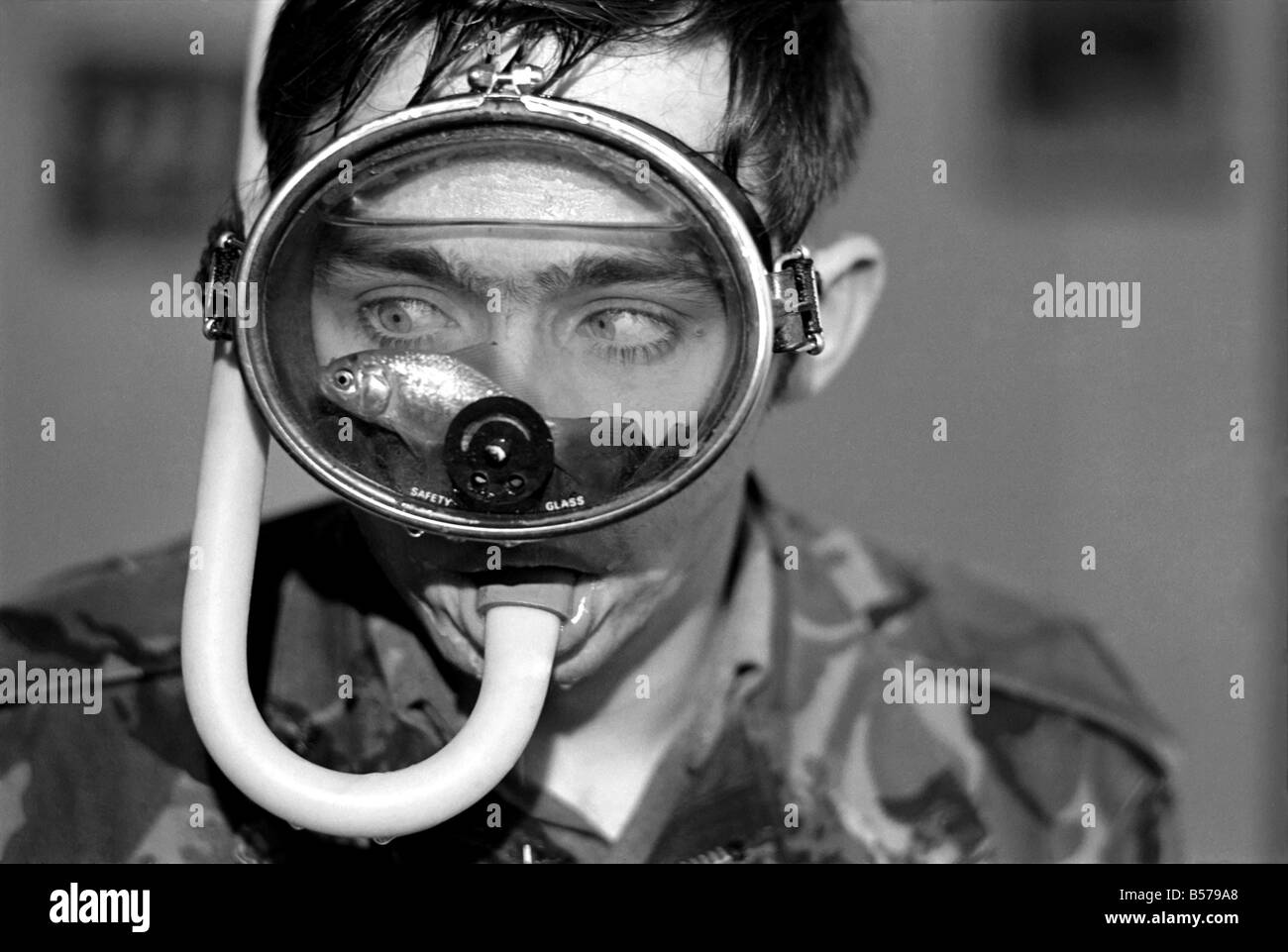 Martin Chapman. Goldfish in diving mask. January 1975 75-00642-001 Stock Photo